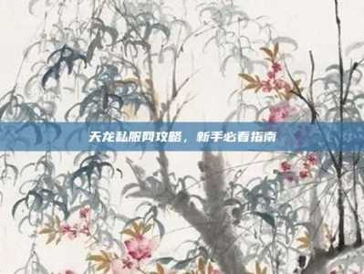 天龙私服网攻略，新手必看指南