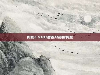 揭秘CSGO油管开箱的奥秘