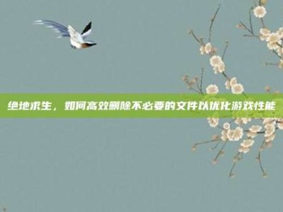 绝地求生，如何高效删除不必要的文件以优化游戏性能