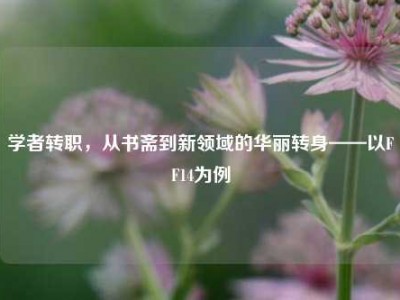 学者转职，从书斋到新领域的华丽转身——以FF14为例
