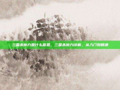 三国杀协力是什么意思，三国杀协力详解，从入门到精通