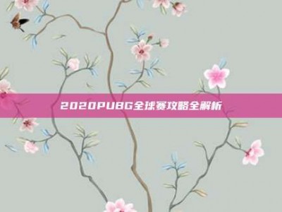 2020PUBG全球赛攻略全解析