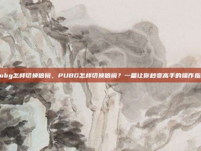 pubg怎样切换倍镜，PUBG怎样切换倍镜？一篇让你秒变高手的操作指南