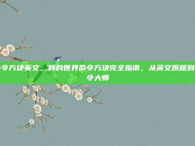 命令方块英文，我的世界命令方块完全指南，从英文原版到指令大师