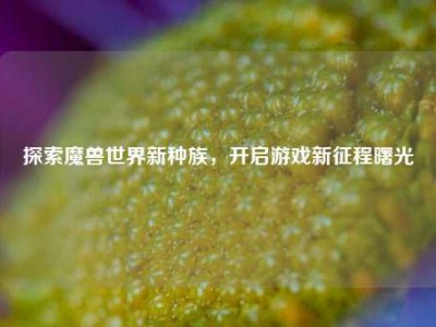 探索魔兽世界新种族，开启游戏新征程曙光