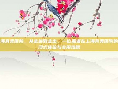 上海真美医院，从走进到走出，一位患者在上海真美医院的沉浸式体验与实用攻略