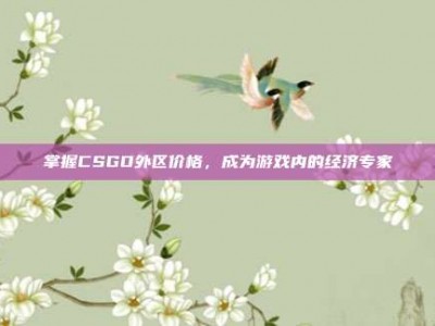 掌握CSGO外区价格，成为游戏内的经济专家