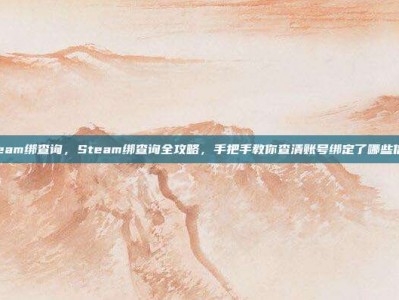 steam绑查询，Steam绑查询全攻略，手把手教你查清账号绑定了哪些信息
