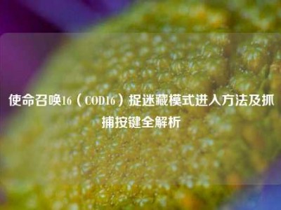 使命召唤16（COD16）捉迷藏模式进入方法及抓捕按键全解析