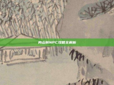 肉山前NPC攻略全解析