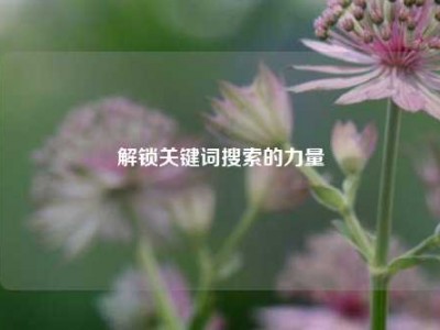 解锁关键词搜索的力量