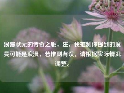 浪漫状元的传奇之旅，注，我推测你提到的浪曼可能是浪漫，若推测有误，请根据实际情况调整。