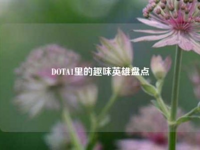 DOTA1里的趣味英雄盘点