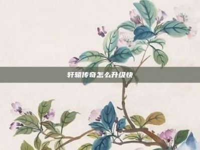 轩辕传奇怎么升级快