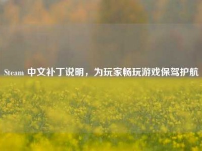 Steam 中文补丁说明，为玩家畅玩游戏保驾护航
