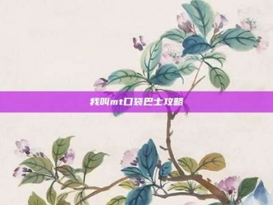 我叫mt口袋巴士攻略