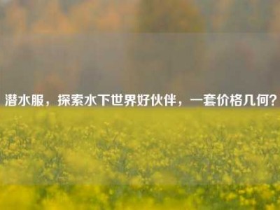 潜水服，探索水下世界好伙伴，一套价格几何？