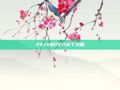 2K13免DVD补丁攻略