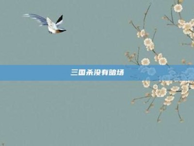 三国杀没有暗场