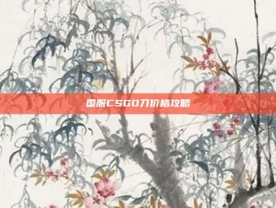 国服CSGO刀价格攻略