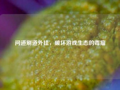 问道刷道外挂，破坏游戏生态的毒瘤
