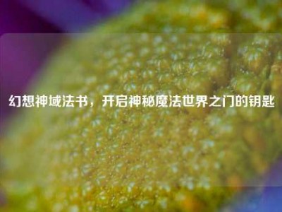 幻想神域法书，开启神秘魔法世界之门的钥匙