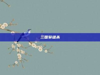 三国枭雄杀