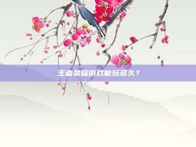 王者荣耀游戏能玩多久？
