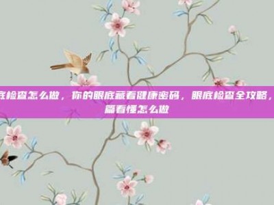 眼底检查怎么做，你的眼底藏着健康密码，眼底检查全攻略，一篇看懂怎么做