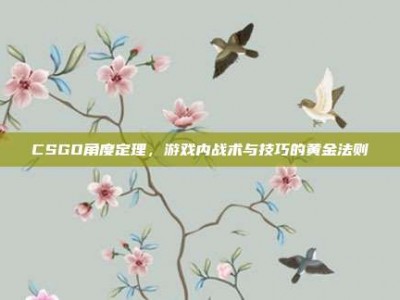 CSGO角度定理，游戏内战术与技巧的黄金法则