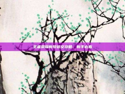 王者荣耀新号铭文攻略，新手必看