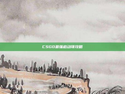 CSGO最强启动项攻略