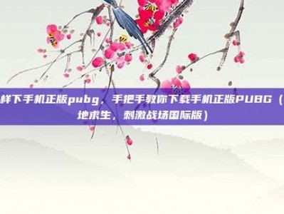 怎样下手机正版pubg，手把手教你下载手机正版PUBG（绝地求生，刺激战场国际版）