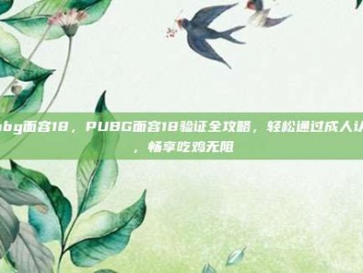 pubg面容18，PUBG面容18验证全攻略，轻松通过成人认证，畅享吃鸡无阻
