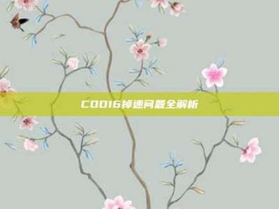COD16掉速问题全解析