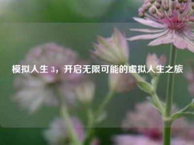 模拟人生 3，开启无限可能的虚拟人生之旅