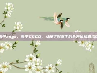 雪子csgo，雪子CSGO，从新手到高手的全方位攻略指南