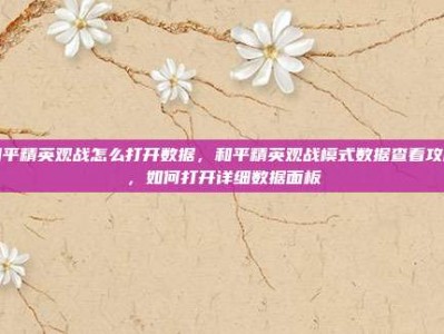 和平精英观战怎么打开数据，和平精英观战模式数据查看攻略，如何打开详细数据面板