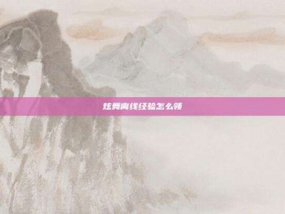炫舞离线经验怎么领