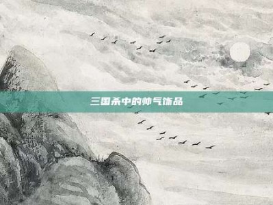 三国杀中的帅气饰品