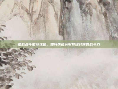 逆战战斗徽章攻略，如何快速获取并提升你的战斗力