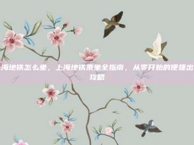 上海地铁怎么坐，上海地铁乘坐全指南，从零开始的便捷出行攻略