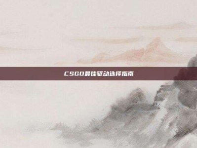 CSGO最佳驱动选择指南