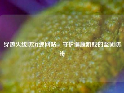 穿越火线防沉迷网站，守护健康游戏的坚固防线