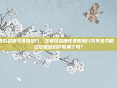 王者荣耀哪吒宠物图片，王者荣耀哪吒宠物图片获取全攻略，这些隐藏壁纸你收集了吗？