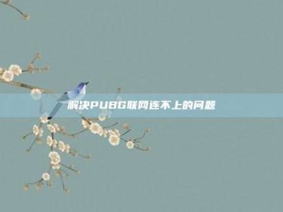 解决PUBG联网连不上的问题