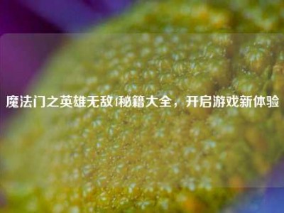魔法门之英雄无敌4秘籍大全，开启游戏新体验