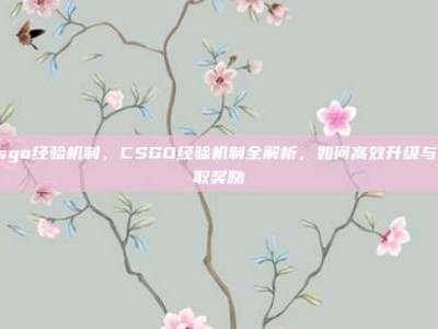 csgo经验机制，CSGO经验机制全解析，如何高效升级与获取奖励