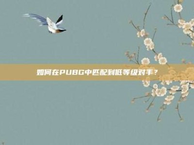 如何在PUBG中匹配到低等级对手？