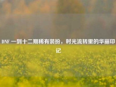 DNF 一到十二期稀有装扮，时光流转里的华丽印记